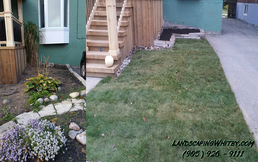 Front Yard Landscaping Sod